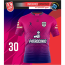 Jogo De Camisas+calção Fardamento Uniforme Futebol 12 Peças Personalizado Patrocínio Nome Escudo