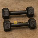 Par Halter Sextavado Pintado-Musculação Academia Funcional Peso Para Braço Treino em Casa Crossfit